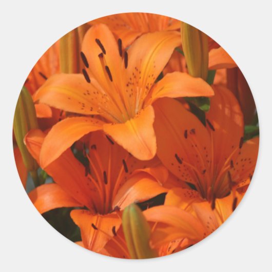 リリー封筒用シールシール ラウンドシール (正面)