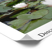 リリー池 ポスター (角)