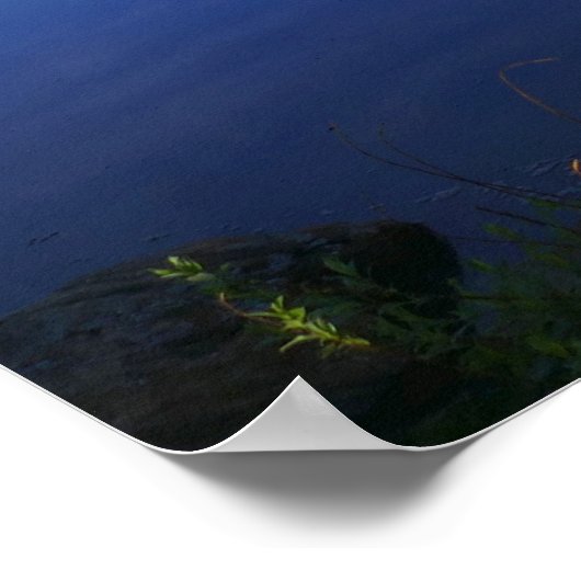 リリー湖 ポスター (角)