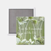 リリー組成 マグネット (正面/裏面)