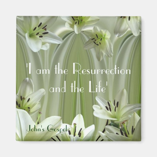 リリー組成 マグネット (正面)