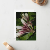 リリー花びら ノートカード (正面/裏面インサイチュ)