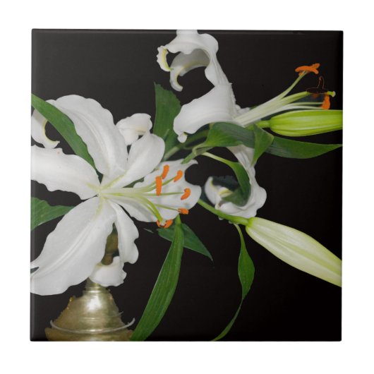 リリー芸術的コレクション–1 タイル (正面)