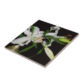 リリー芸術的コレクション–1 タイル (側面)