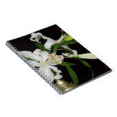 リリー芸術的コレクション–1 ノートブック (右側)