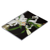 リリー芸術的コレクション–1 ノートブック (左側)