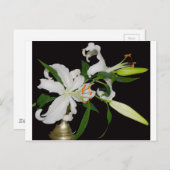 リリー芸術的コレクション–1 ポストカード (正面/裏面)