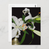 リリー芸術的コレクション–1 ポストカード (正面/裏面)