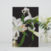 リリー芸術的コレクション–1 便箋 (スタンド正面)