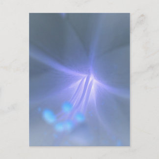 リリー葉書の反転 ポストカード