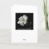 リリー誕生日カードの中 カード (裏面)