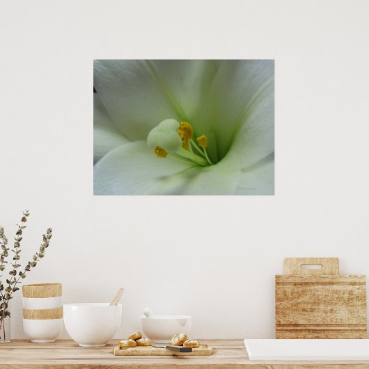 リリー1 ポスター (キッチン)