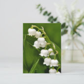 リリー・オブ・ザ・バレーポストカード ポストカード (スタンド正面)