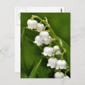 リリー・オブ・ザ・バレーポストカード ポストカード (正面/裏面)