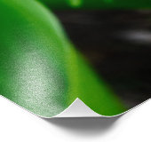 リリー・オブ・ザ・バレー フォトプリント            (角)