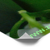 リリー・オブ・ザ・バレー ポスター (角)