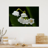 リリー・オブ・ザ・バレー ポスター (キッチン)