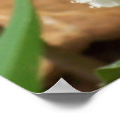 リリー・オブ・ザ・バレー ポスター (角)