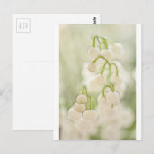 リリー・オブ・ザ・バレー ポストカード (正面/裏面)