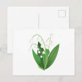 リリー・オブ・ザ・バレー ポストカード (正面/裏面)