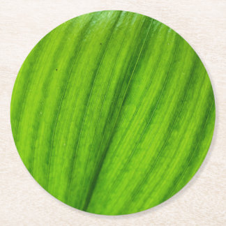 リリー・オブ・ザ・バレー ラウンドペーパーコースター