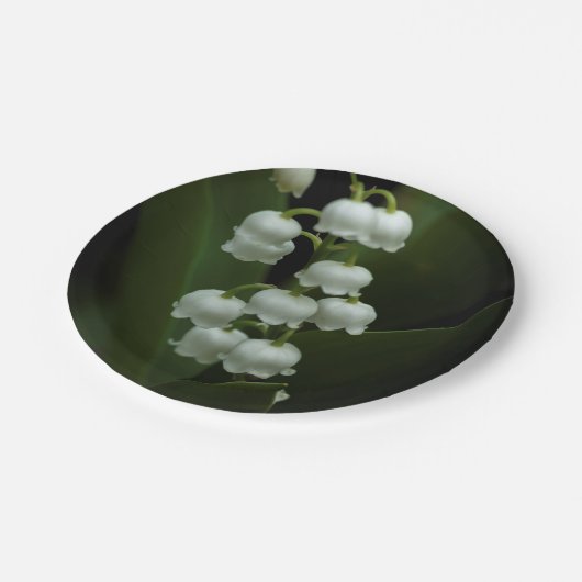 リリー·オブ·ザ·バレー-0308 ペーパープレート (アングル)