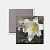 リリー・オブ・ザ・フィールド – マグネット (正面/裏面)