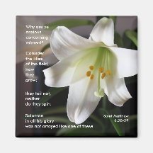 リリー・オブ・ザ・フィールド – マグネット