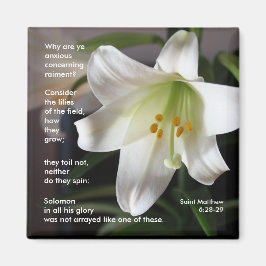 リリー・オブ・ザ・フィールド – マグネット