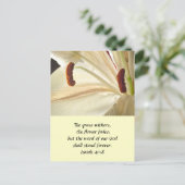 リリー・オブ・ライト ポストカード (スタンド正面)