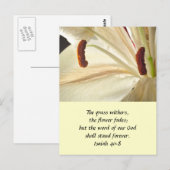 リリー・オブ・ライト ポストカード (正面/裏面)