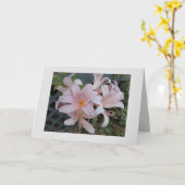 リリー カード (黄色い花)