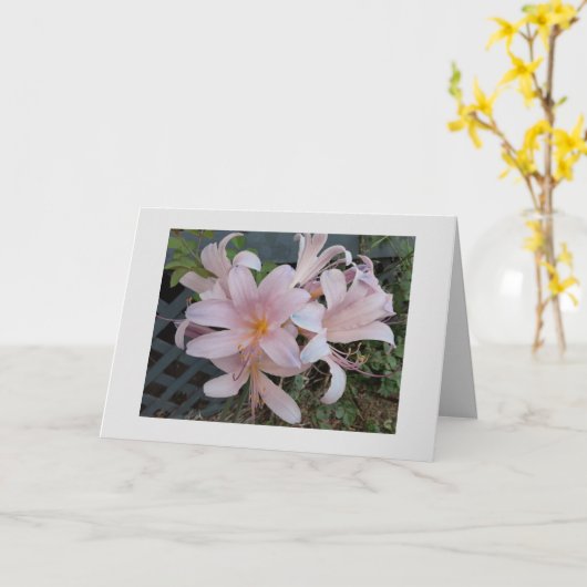 リリー カード (黄色い花)