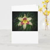リリー、カード カード (黄色い花)