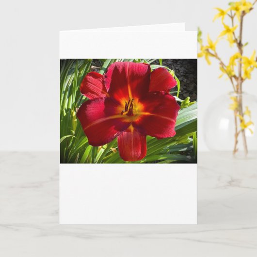 リリー、カード カード (黄色い花)