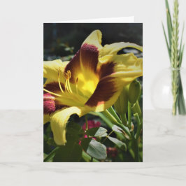 リリー、カード カード