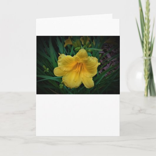 リリー、カード カード (正面)