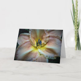 リリー、カード カード