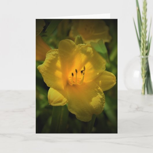 リリー、カード カード (正面)