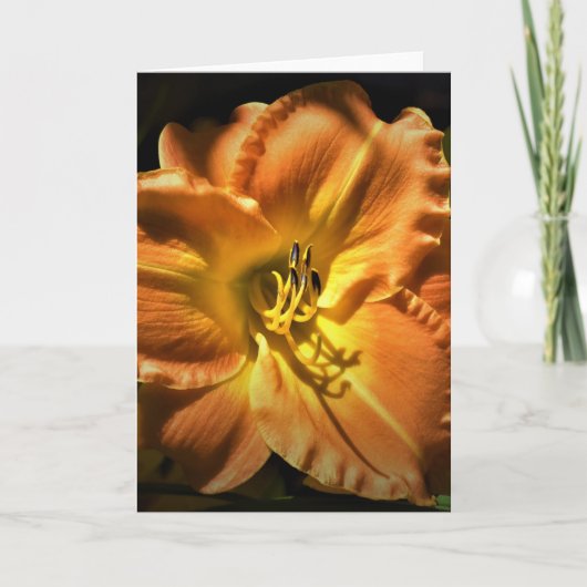 リリー、カード カード (正面)