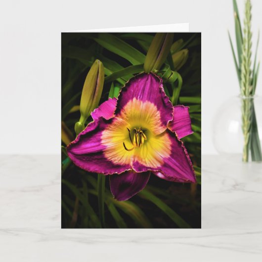 リリー、カード カード (正面)