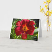 リリー、カード カード (黄色い花)