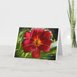 リリー、カード カード