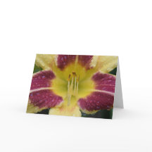 リリー、カード