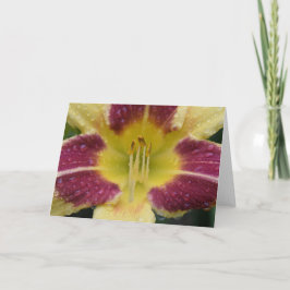 リリー、カード カード