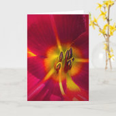 リリー、カード カード (黄色い花)