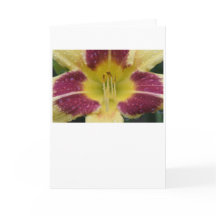 リリー、カード