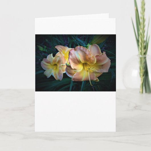 リリー、カード カード (正面)