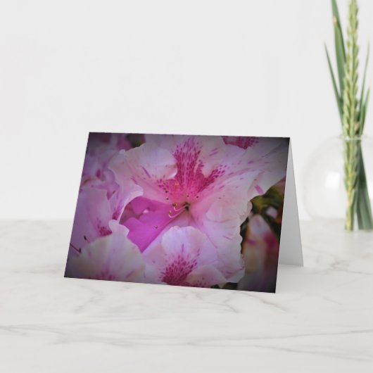 リリー、カード カード (正面)