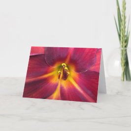 リリー、カード カード